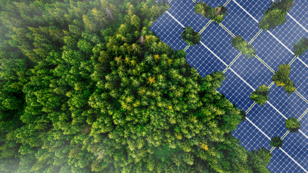 Energy and Sustainability